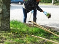 kehrenbürger_4 kehrenbürger_4