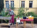 IMG_2081 IMG_2081