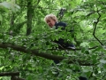 SzS_MA-Tag_Kita_2017_45 SzS_MA-Tag_Kita_2017_45