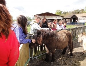 kijuna-kinderreise-2014-web