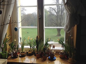 schlosskobolde_33