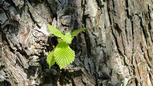Es ist jedes Jahr das gleiche …