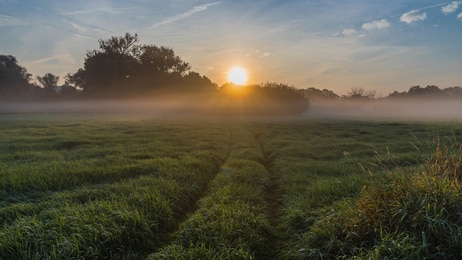 Durch die Nacht zur Morgenröte, gemeinsam.