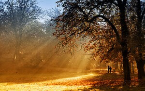 ©drsg98-Fotolia.com_web
