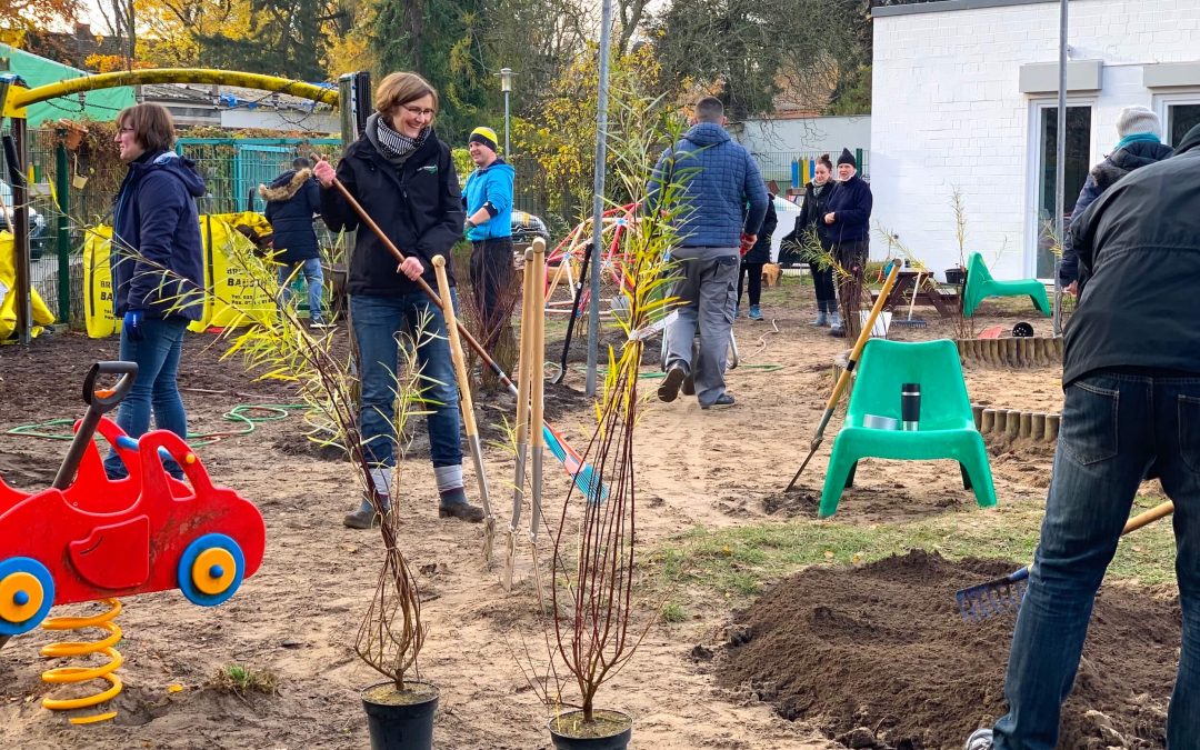 Neuer Garten für die Maltinis