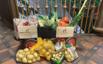 Erntedank bei den Schlosskobolden