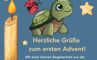 Von Schildkröten und Marienkäfern – Kleine Wunder in der Plattenbau-Siedlung