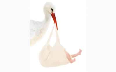 Hebammensprechstunden im Stadtteilzentrum Steglitz